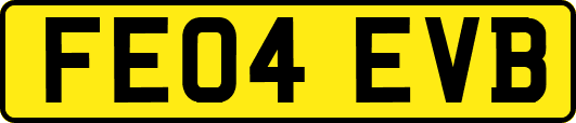 FE04EVB