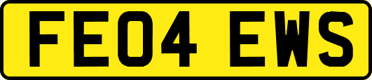 FE04EWS