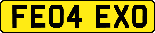 FE04EXO