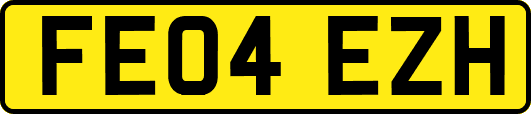 FE04EZH