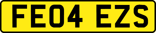 FE04EZS