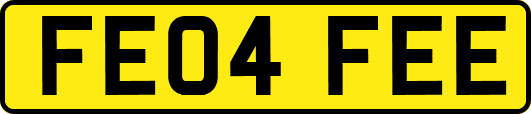 FE04FEE