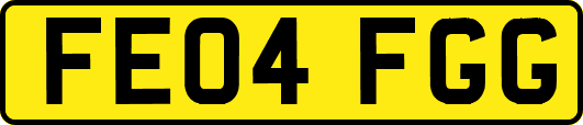 FE04FGG