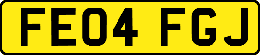 FE04FGJ