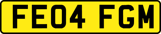 FE04FGM