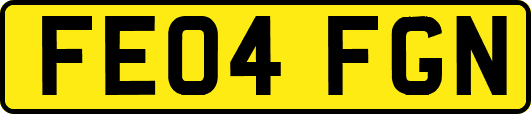 FE04FGN