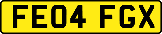 FE04FGX
