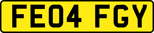 FE04FGY