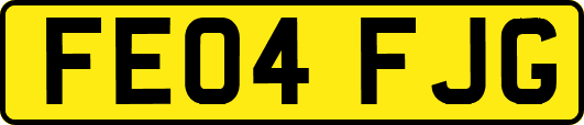 FE04FJG
