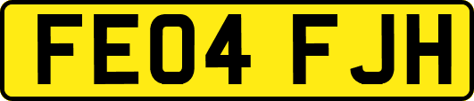 FE04FJH