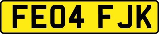 FE04FJK