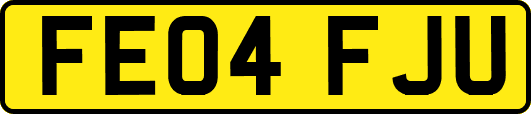 FE04FJU