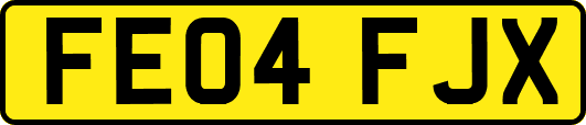 FE04FJX