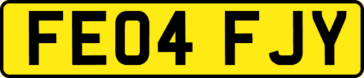 FE04FJY