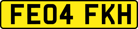 FE04FKH