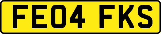 FE04FKS