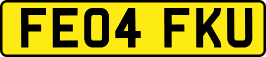 FE04FKU