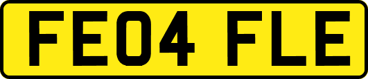 FE04FLE