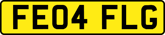 FE04FLG