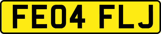 FE04FLJ