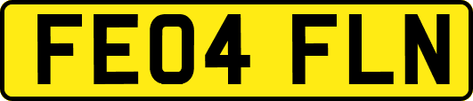 FE04FLN