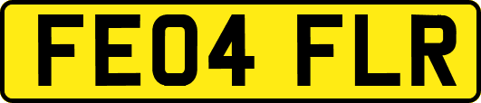 FE04FLR