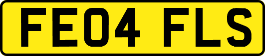 FE04FLS