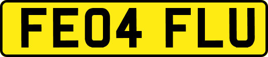 FE04FLU