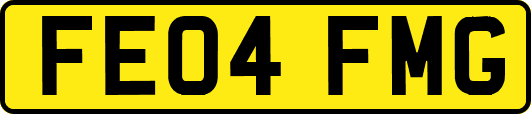 FE04FMG