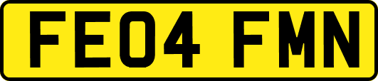 FE04FMN