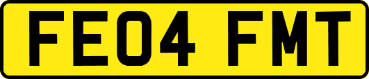 FE04FMT