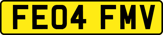FE04FMV