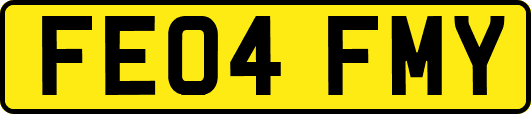 FE04FMY