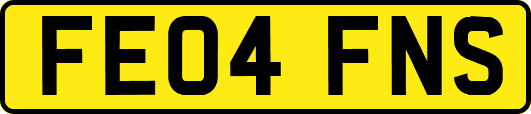 FE04FNS