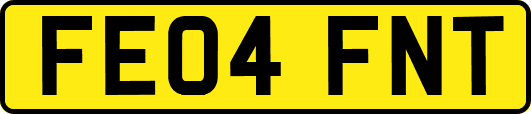 FE04FNT