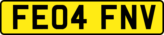 FE04FNV