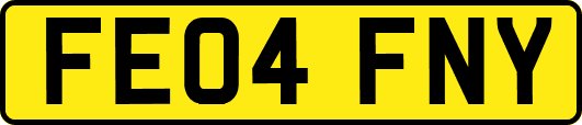 FE04FNY