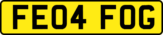 FE04FOG