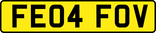 FE04FOV