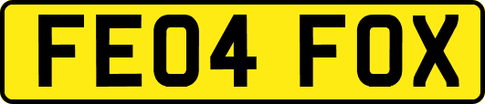 FE04FOX
