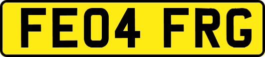 FE04FRG