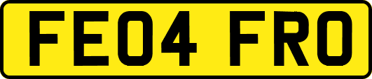 FE04FRO