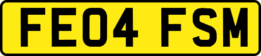 FE04FSM