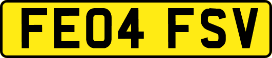 FE04FSV