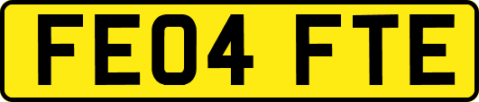 FE04FTE