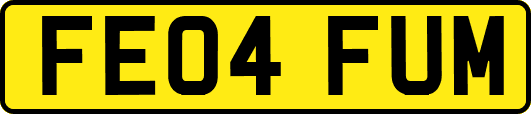 FE04FUM