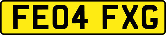 FE04FXG