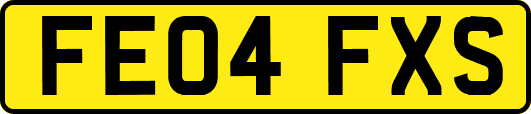 FE04FXS