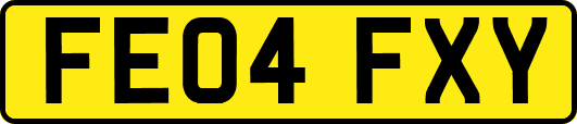 FE04FXY