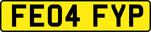 FE04FYP